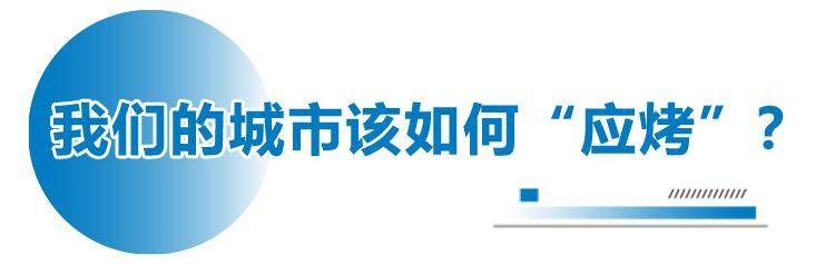 央视网 :新澳彩资料免费公开:上海市公安局城市轨道和公交总队织密客流安全防护网 确保辖区平安有序